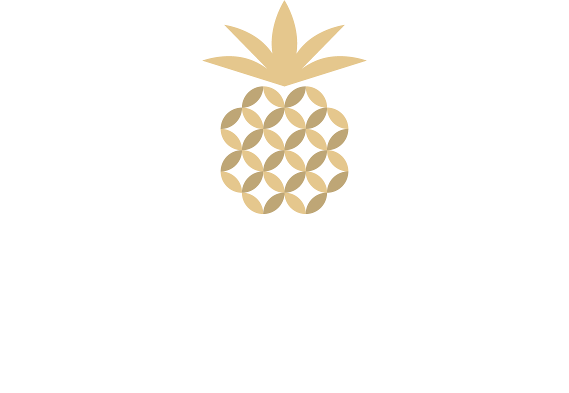 Image of Southern Premier Partners